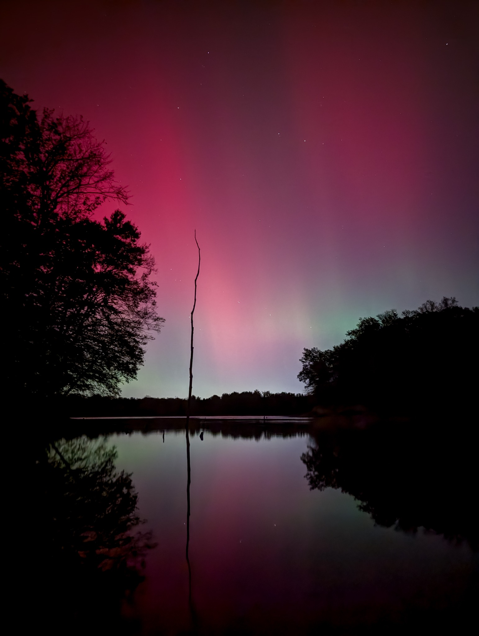 Magenta and green aurora light blooms above a still lake and silhouetted trees.