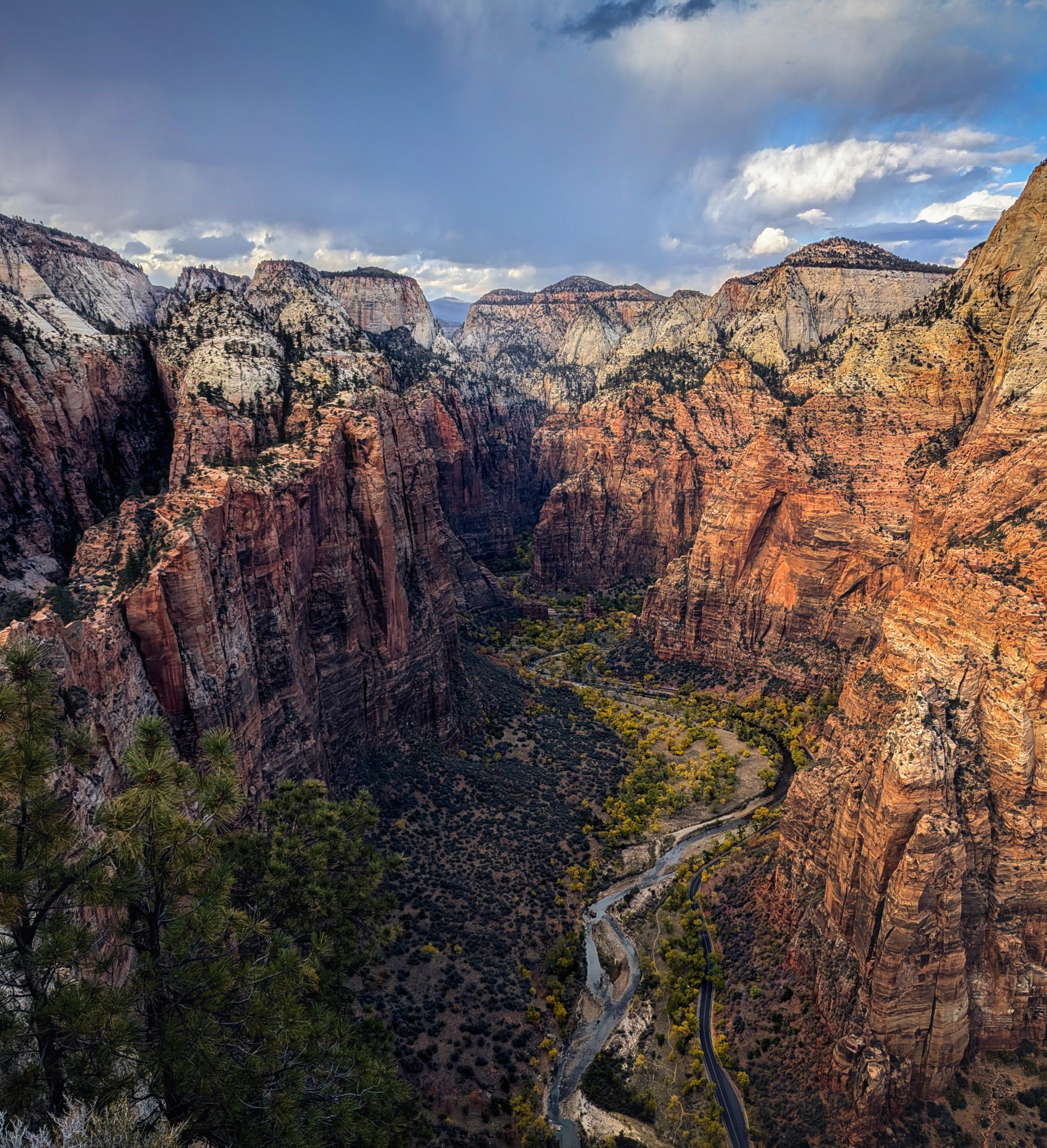 A vast view across the layered cliffs and canyon beneath Angels Landing.