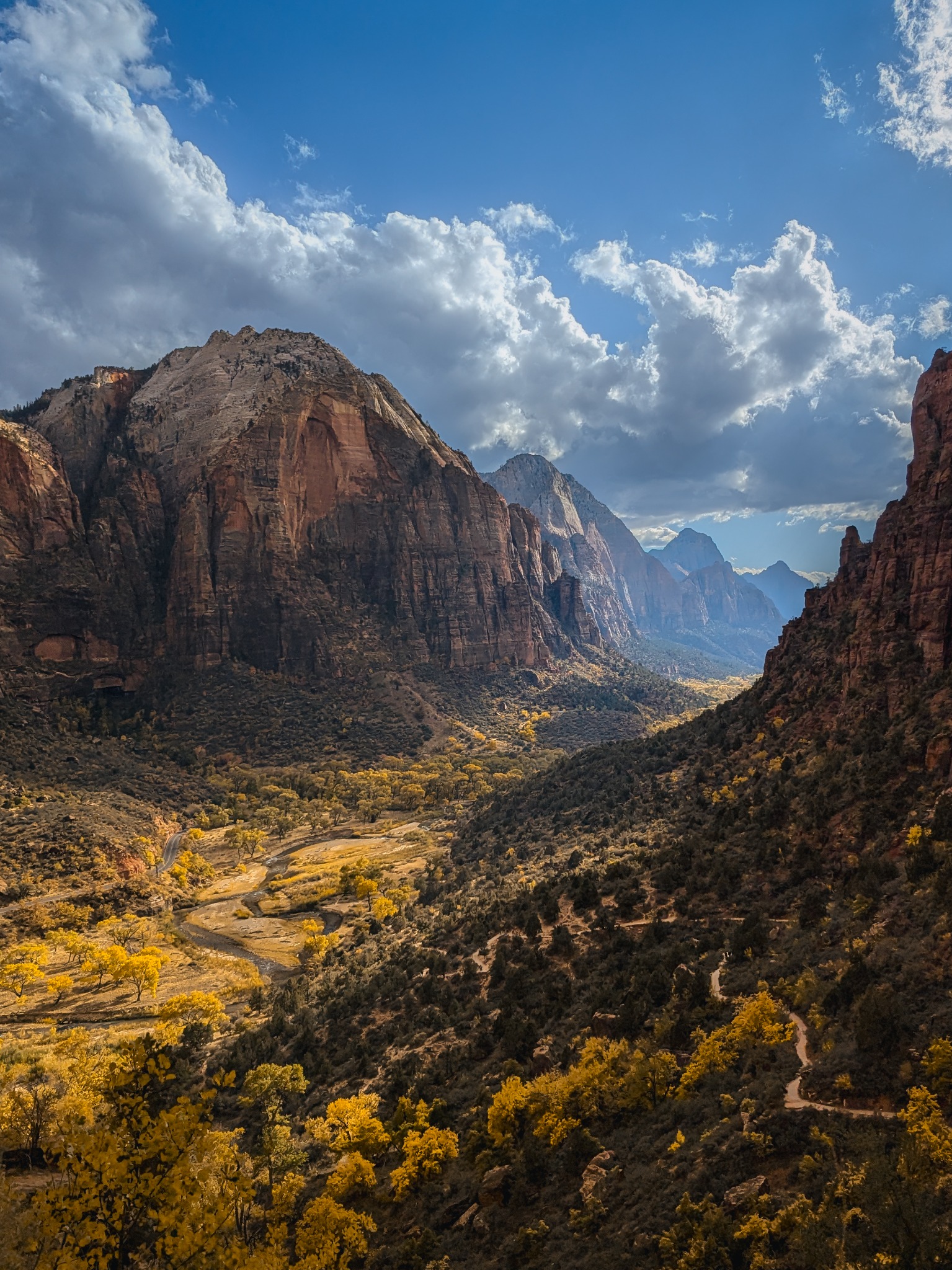 Golden trees fill the floor of Zion Canyon beneath immense cliffs and bright clouds.